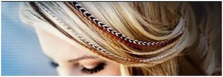Extension de plume Salon de coiffure Hair MS Studio