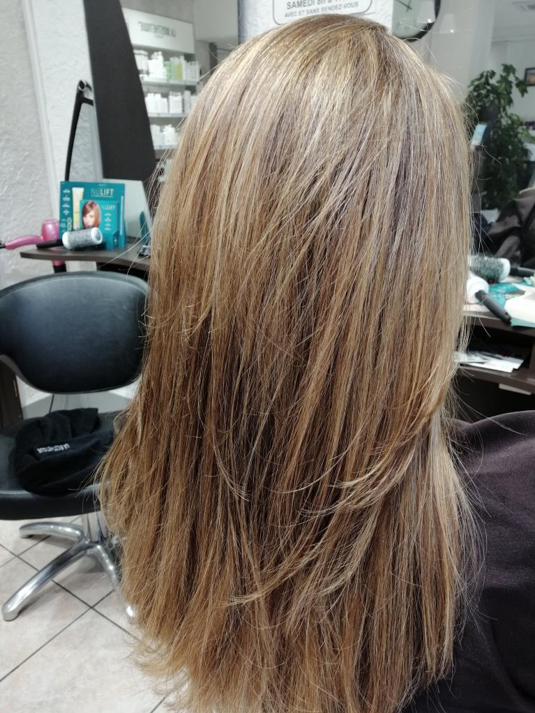 Coiffeur Montauban Coloration Végétale