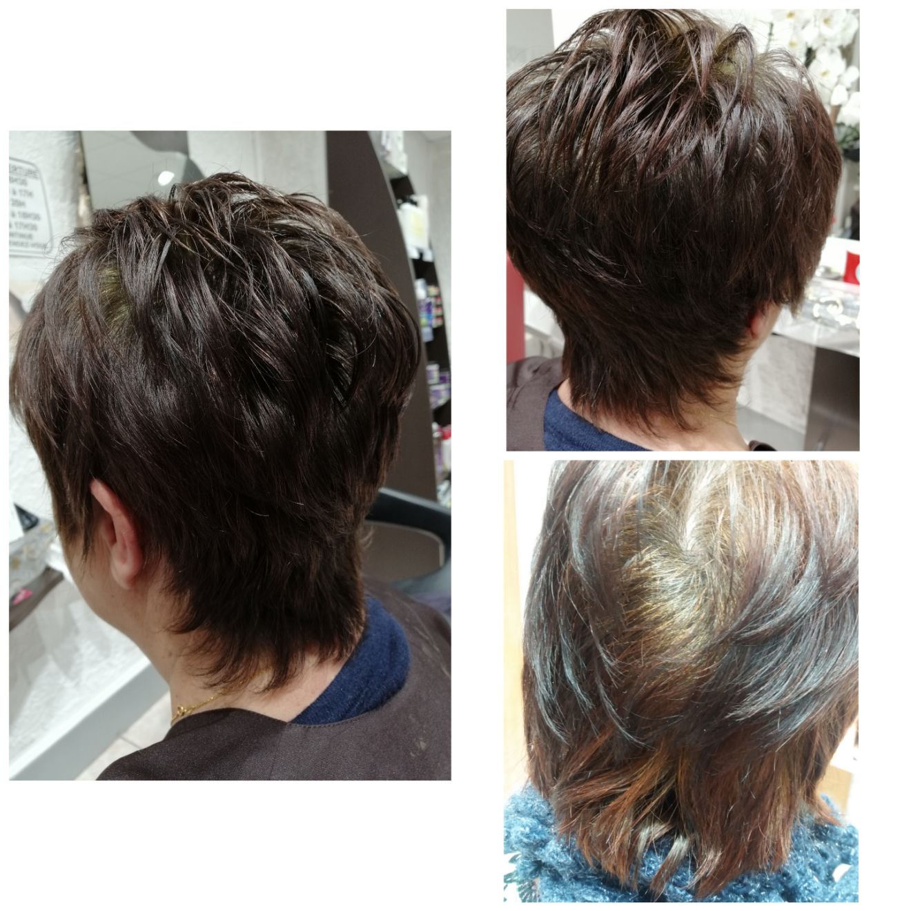 Coloration Végétal'émoi Hair MS Studio Coiffure